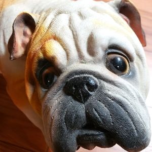 Fawn Bulldog Lifelike Playful Statue